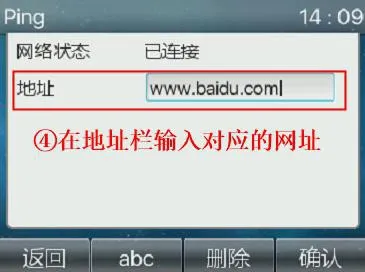 إدخال عنوان موقع ويب في أداة Ping بالهاتف
