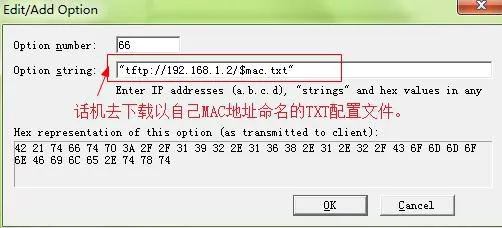 إضافة DHCP option جديد